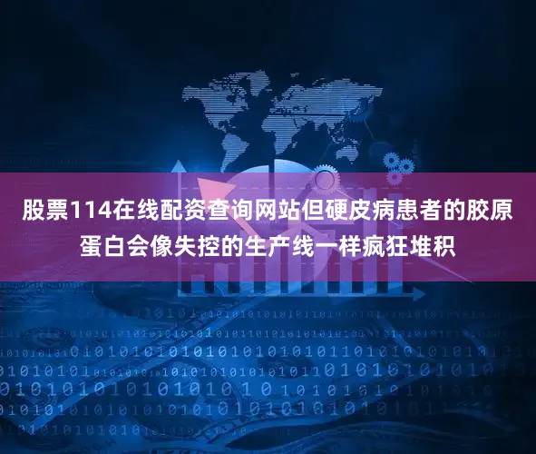 股票114在线配资查询网站但硬皮病患者的胶原蛋白会像失控的生产线一样疯狂堆积